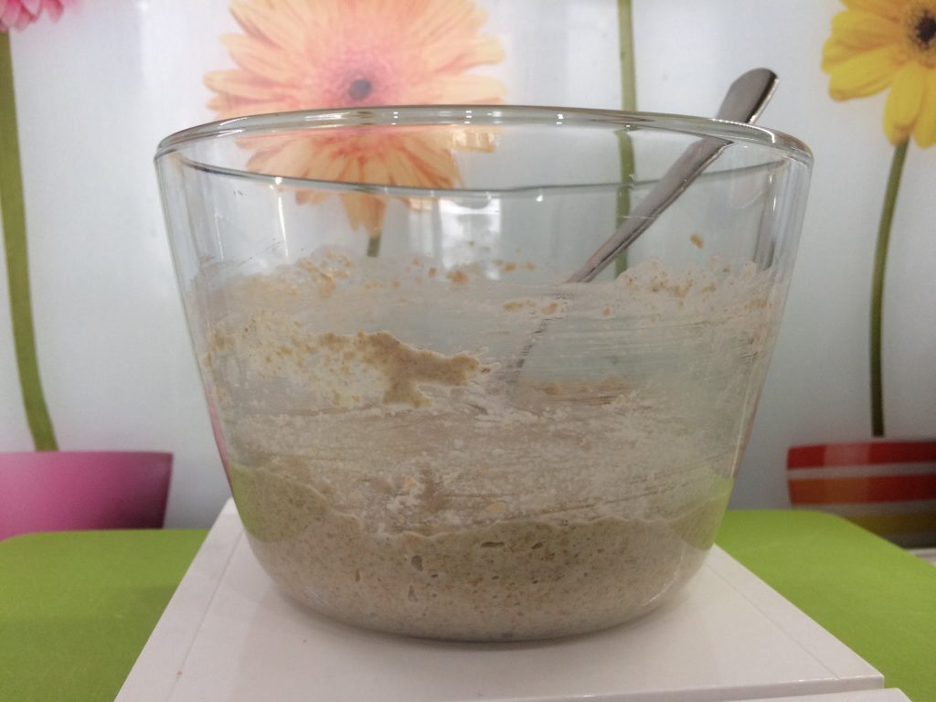 Sourdough Leaven before it rises