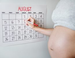 Ovulation and pregnancy