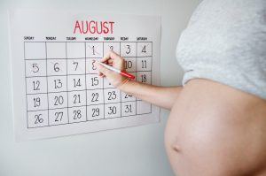 Ovulation and pregnancy