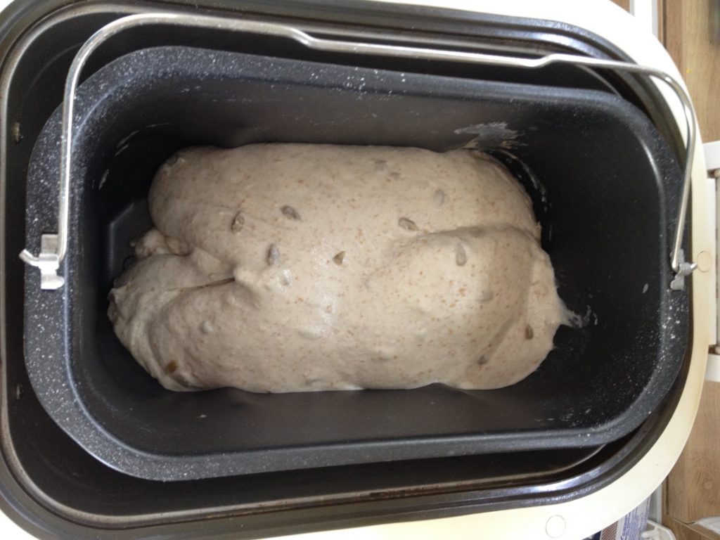 Kneaded sourdough bread mixture