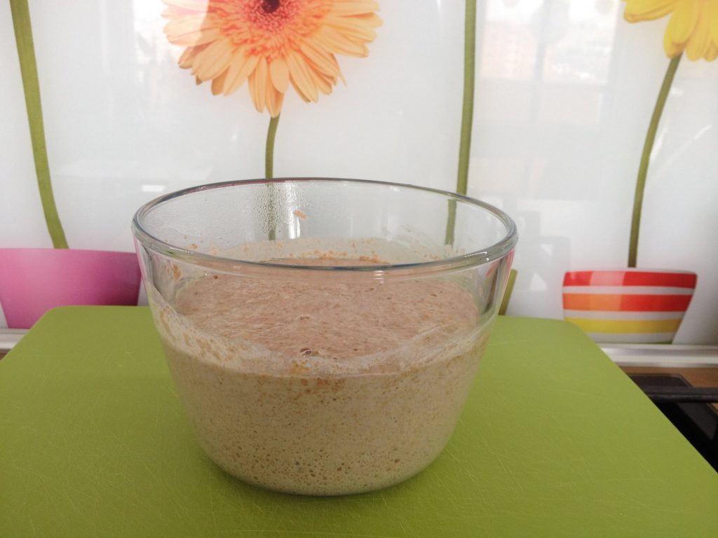 sourdough leaven ready for baking